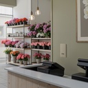 Ajax SoloCover (СP)