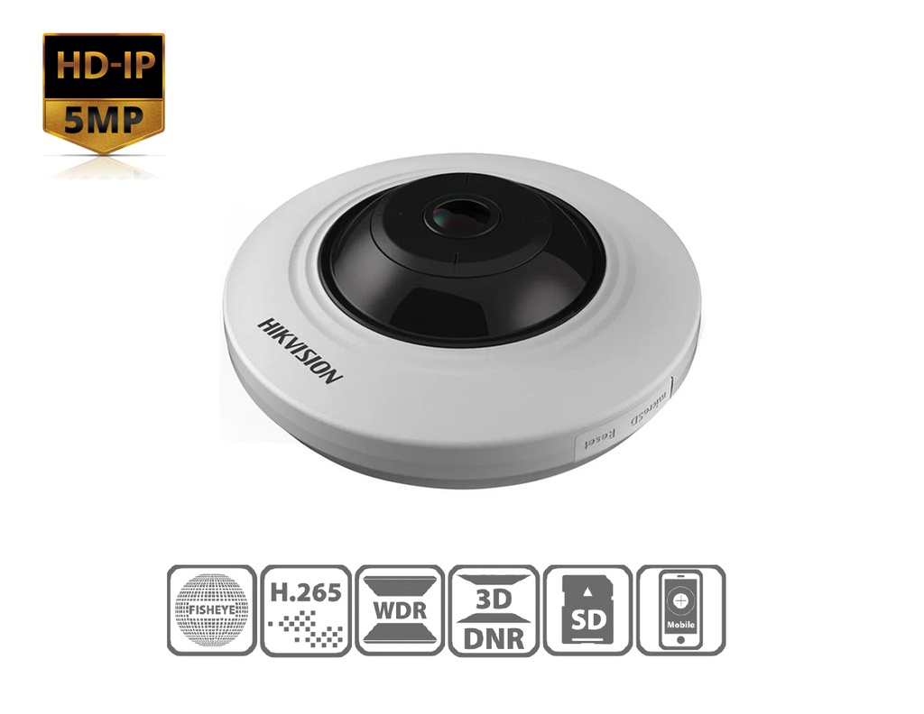 DS-2CD2955FWD-IS(1.05MM) - Hikvision 5 MP Fisheye Fixed Dome Network Camera